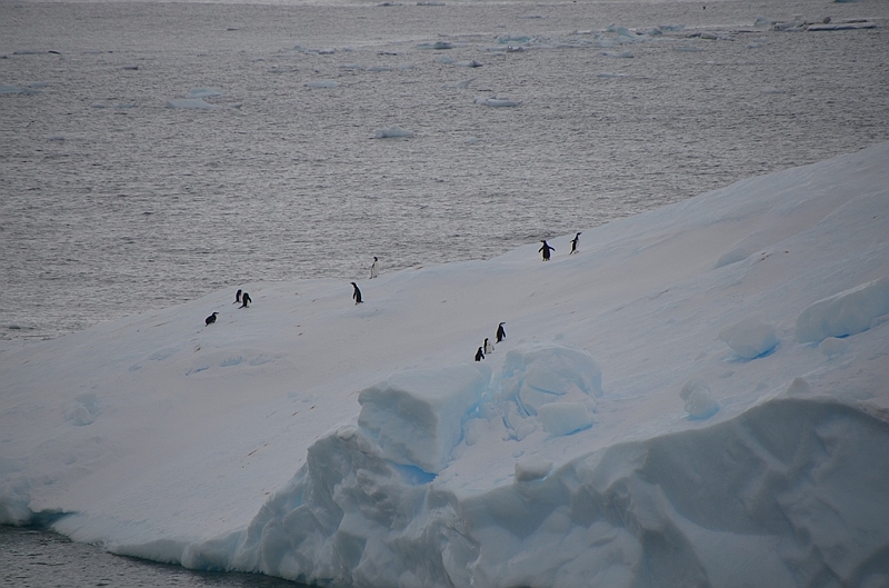 052_Antarctica_Peninsula_Gerlache_Strait.JPG
