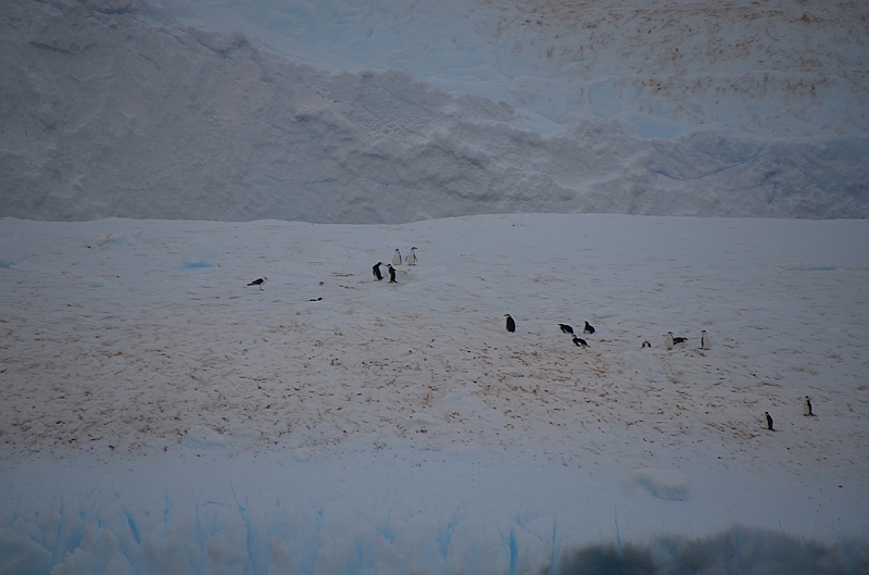 167_Antarctica_Peninsula_Deception_Island.JPG