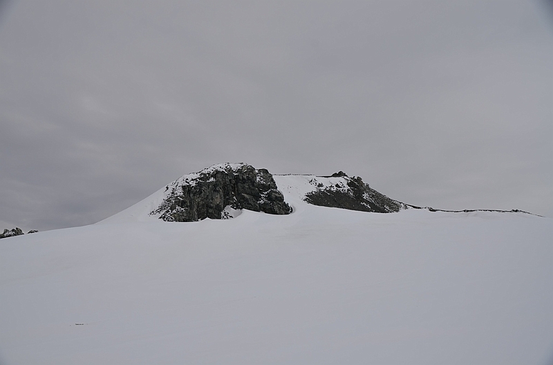 205_Antarctica_Peninsula_Robert_Island.JPG