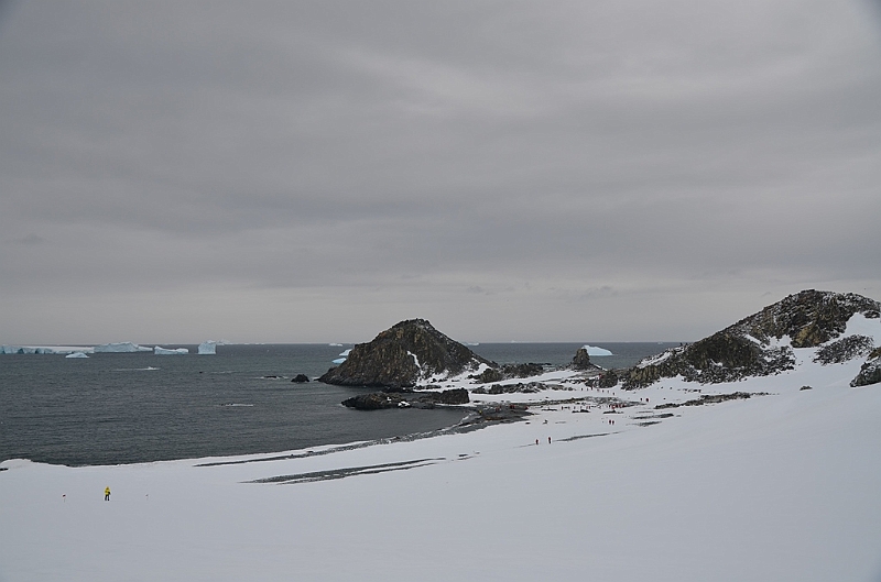 207_Antarctica_Peninsula_Robert_Island.JPG