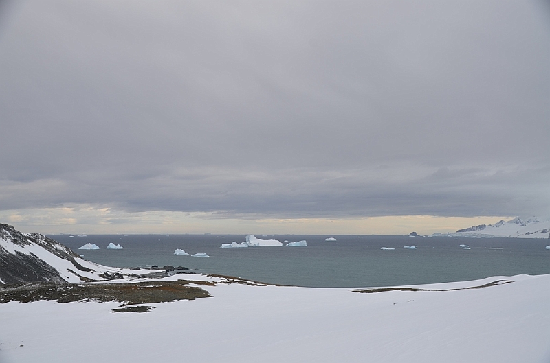 208_Antarctica_Peninsula_Robert_Island.JPG