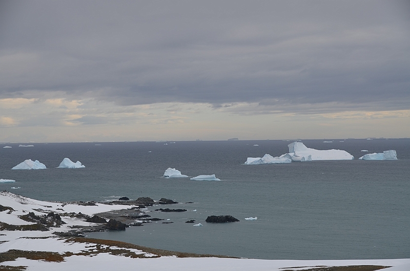 209_Antarctica_Peninsula_Robert_Island.JPG