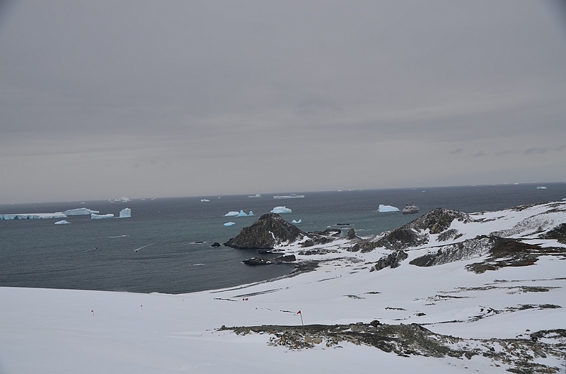 211_Antarctica_Peninsula_Robert_Island.JPG