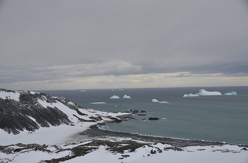 213_Antarctica_Peninsula_Robert_Island.JPG
