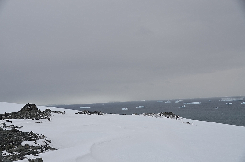 214_Antarctica_Peninsula_Robert_Island.JPG