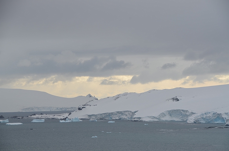 215_Antarctica_Peninsula_Robert_Island.JPG