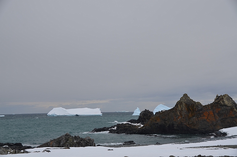 224_Antarctica_Peninsula_Robert_Island.JPG