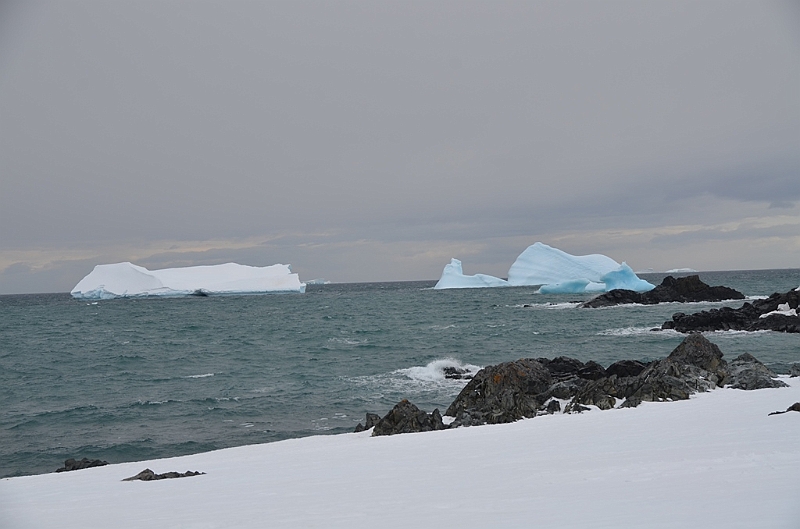 226_Antarctica_Peninsula_Robert_Island.JPG