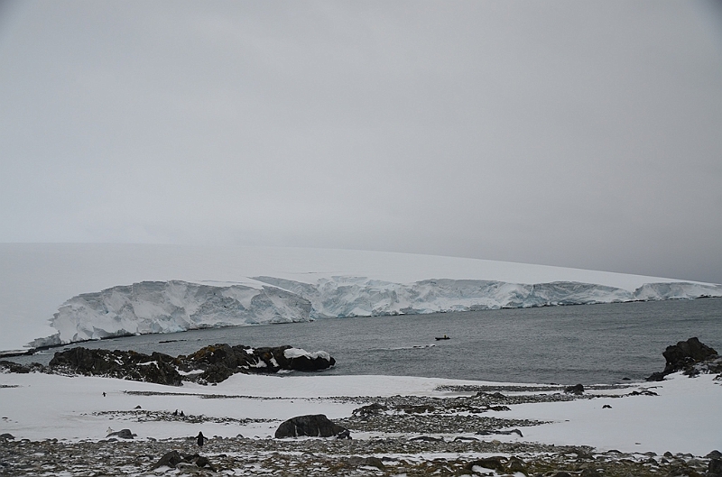 232_Antarctica_Peninsula_Robert_Island.JPG