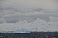 042_Antarctica_Peninsula_Gerlache_Strait