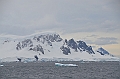 058_Antarctica_Peninsula_Gerlache_Strait