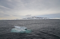 078_Antarctica_Peninsula_Gerlache_Strait