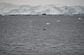 083_Antarctica_Peninsula_Gerlache_Strait_Humpback_Whale