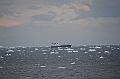 095_Antarctica_Peninsula_Gerlache_Strait