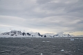 096_Antarctica_Peninsula_Gerlache_Strait