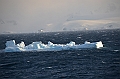 147_Antarctica_Peninsula_Gerlache_Strait