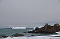 224_Antarctica_Peninsula_Robert_Island