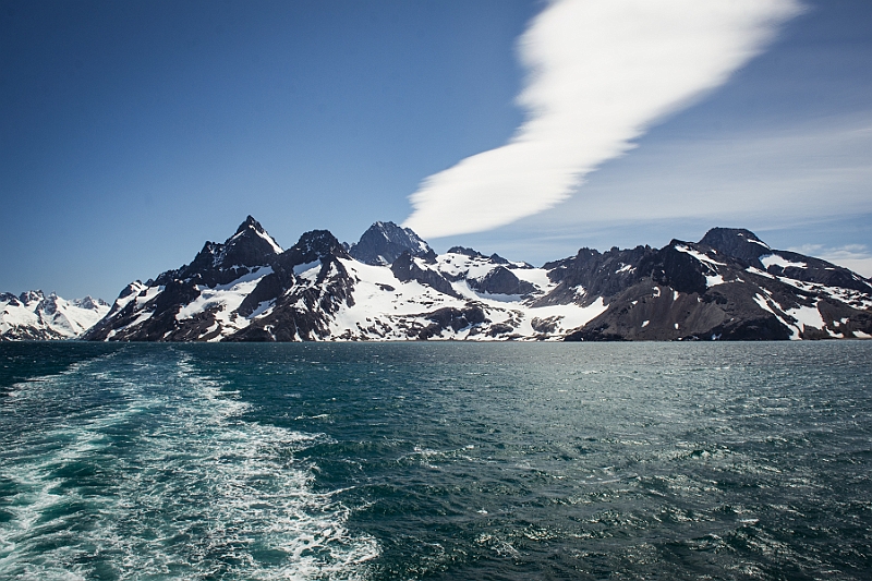 194_Best_of_Antarctica_Ponant.jpg