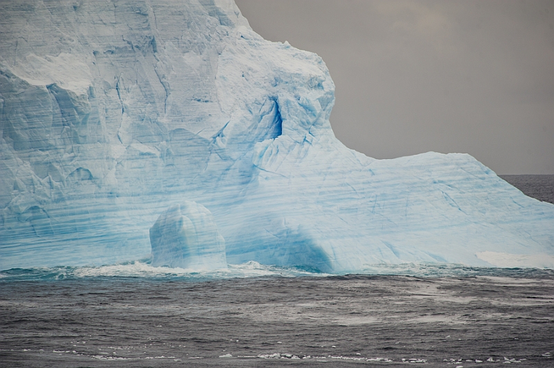 198_Best_of_Antarctica_Ponant.jpg