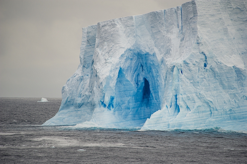 201_Best_of_Antarctica_Ponant.jpg