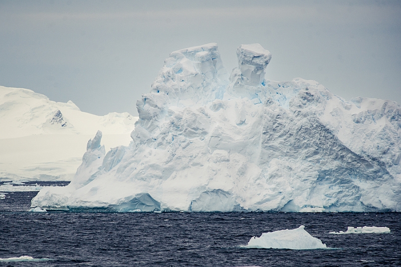 221_Best_of_Antarctica_Ponant.jpg