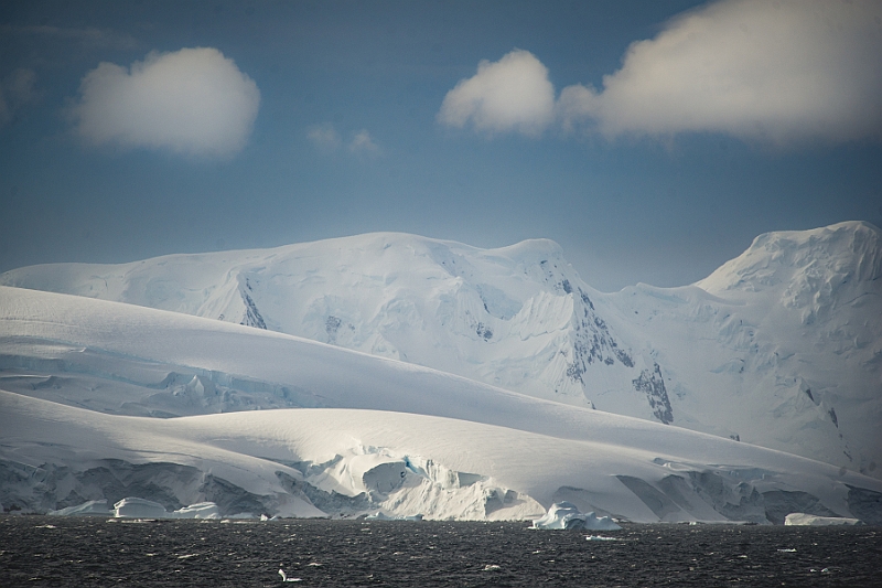 228_Best_of_Antarctica_Ponant.jpg