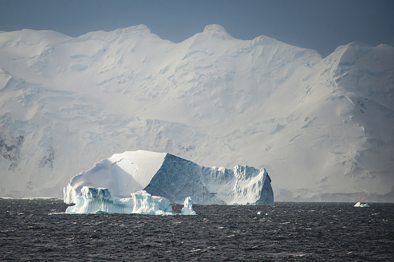 234_Best_of_Antarctica_Ponant.jpg