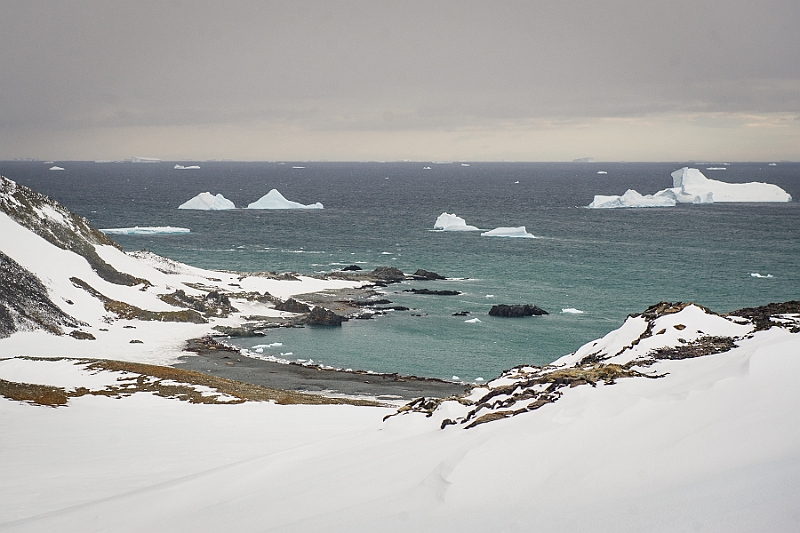 281_Best_of_Antarctica_Ponant.jpg