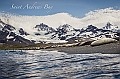 135_Best_of_Antarctica_Ponant