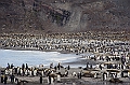 140_Best_of_Antarctica_Ponant