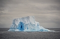 197_Best_of_Antarctica_Ponant