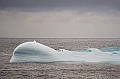 199_Best_of_Antarctica_Ponant