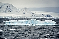207_Best_of_Antarctica_Ponant