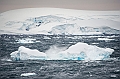 214_Best_of_Antarctica_Ponant