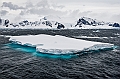 218_Best_of_Antarctica_Ponant