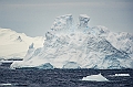 221_Best_of_Antarctica_Ponant