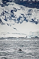 223_Best_of_Antarctica_Ponant