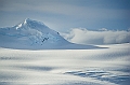 224_Best_of_Antarctica_Ponant