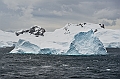 225_Best_of_Antarctica_Ponant