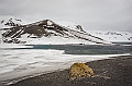 253_Best_of_Antarctica_Ponant