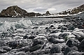 265_Best_of_Antarctica_Ponant