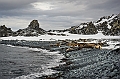 268_Best_of_Antarctica_Ponant