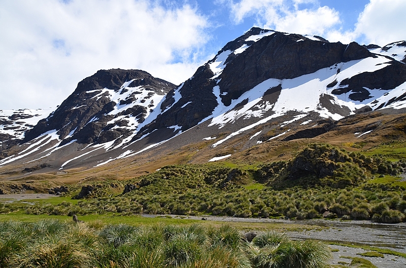 076_Antarctica_South_Georgia_Fortuna_Bay.JPG