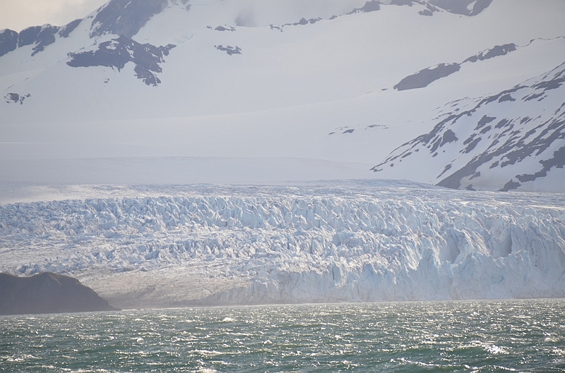 108_Antarctica_South_Georgia.JPG