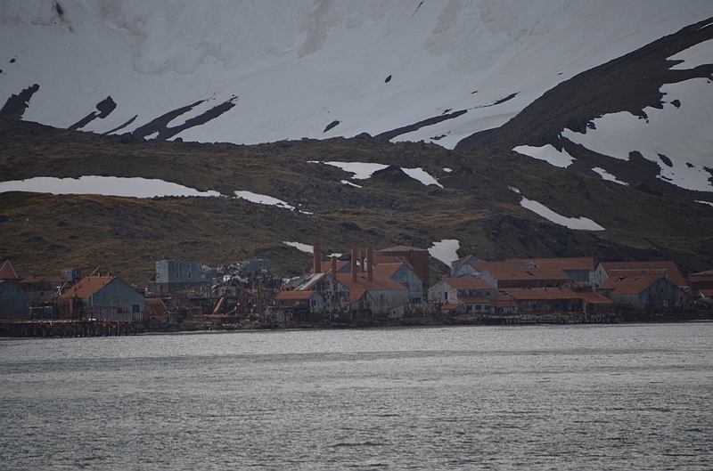 117_Antarctica_South_Georgia.JPG