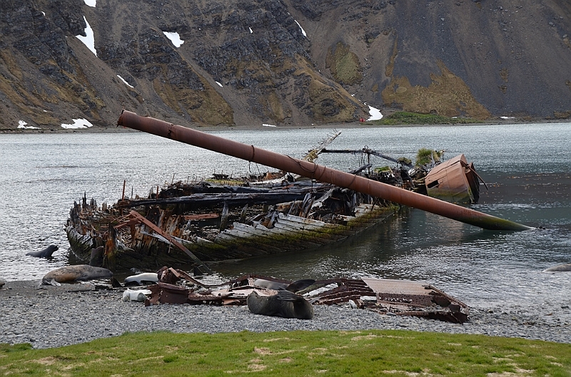 130_Antarctica_South_Georgia_Grytviken.JPG