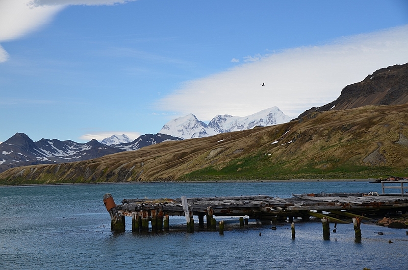 153_Antarctica_South_Georgia_Grytviken.JPG