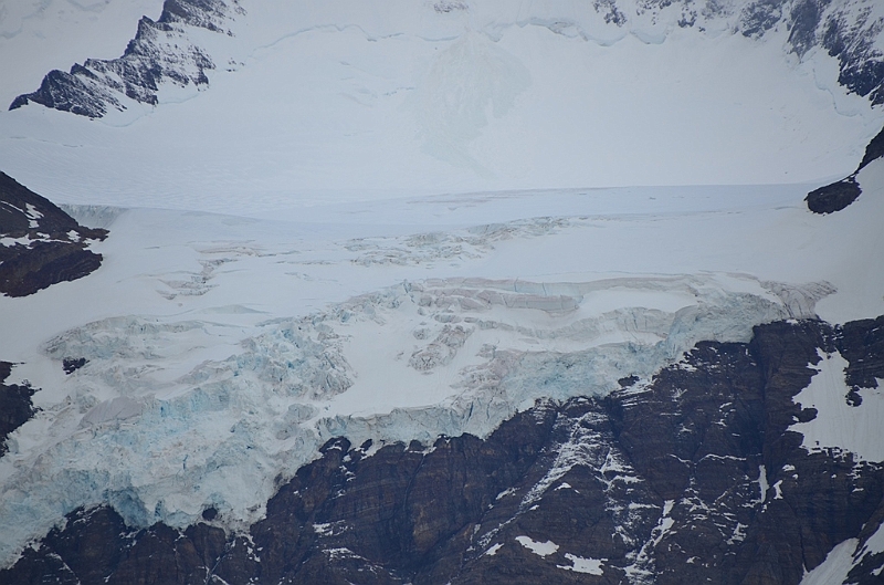 167_Antarctica_South_Georgia.JPG