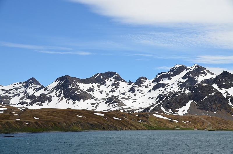 171_Antarctica_South_Georgia.JPG