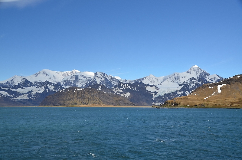 174_Antarctica_South_Georgia.JPG